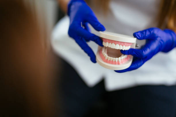 Best Preventive Dentistry  in Fairview, MT